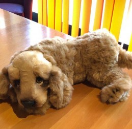  - TERAPIE NON FARMACOLOGICHE - Ercole il Cane